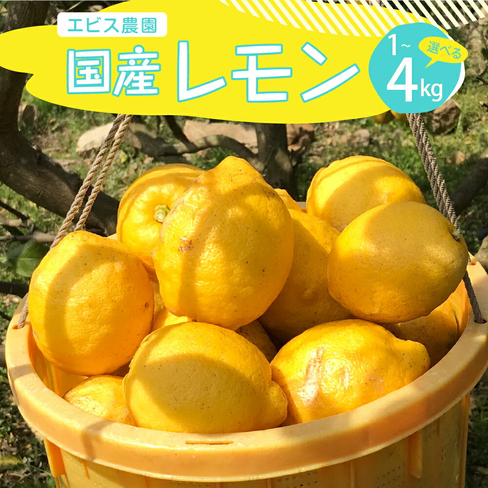 2025年 12月 上旬～発送【栽培期間中 農薬不使用】有機JAS認証 皮まで美味しい 希少な国産オーガニックレモン 約1kg / 約2kg / 約4kg / 内容量が選べる れもん lemon フルーツ 果物 柑橘 産地直送 12月初旬までグリーンレモン 国産 広島県 呉市