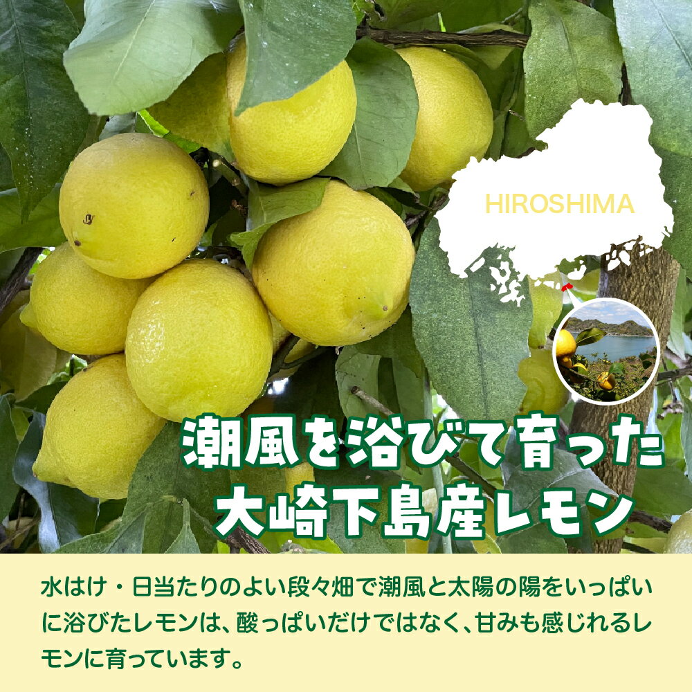 【ふるさと納税】栽培期間中農薬不使用「レモン」約 1kg / 約 3kg / 内容量が選べる レモン れもん 檸檬 特別栽培 皮まで安心 瀬戸内 産地直送 お取り寄せグルメ 送料無料 特別栽培農産物 広島県 呉市 サムネイル2