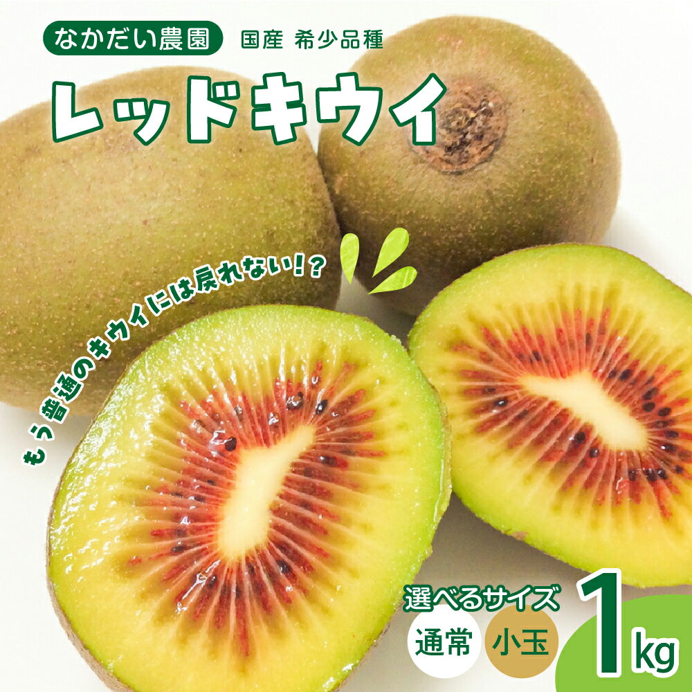 先行予約 希少品種 レッドキウイ 約1kg / 小玉1kg【2025年9月下旬～発送】選べる内容量 なかだい農園 栽培期間中 防腐剤 化学肥料 農薬不使用 キウイ キウイフルーツ フルーツ 果物 甘い お取り寄せ 国産 産地直送 送料無料 期間限定 広島県 呉市