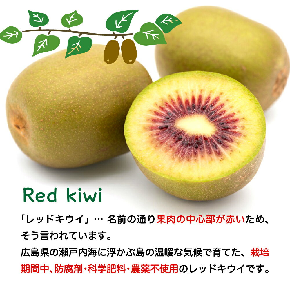 【ふるさと納税】先行予約 希少品種 レッドキウイ 約1kg / 小玉1kg【2025年9月下旬～発送】選べる内容量 なかだい農園 栽培期間中 防腐剤 化学肥料 農薬不使用 キウイ キウイフルーツ フルーツ 果物 甘い お取り寄せ 国産 産地直送 送料無料 期間限定 広島県 呉市 サムネイル3