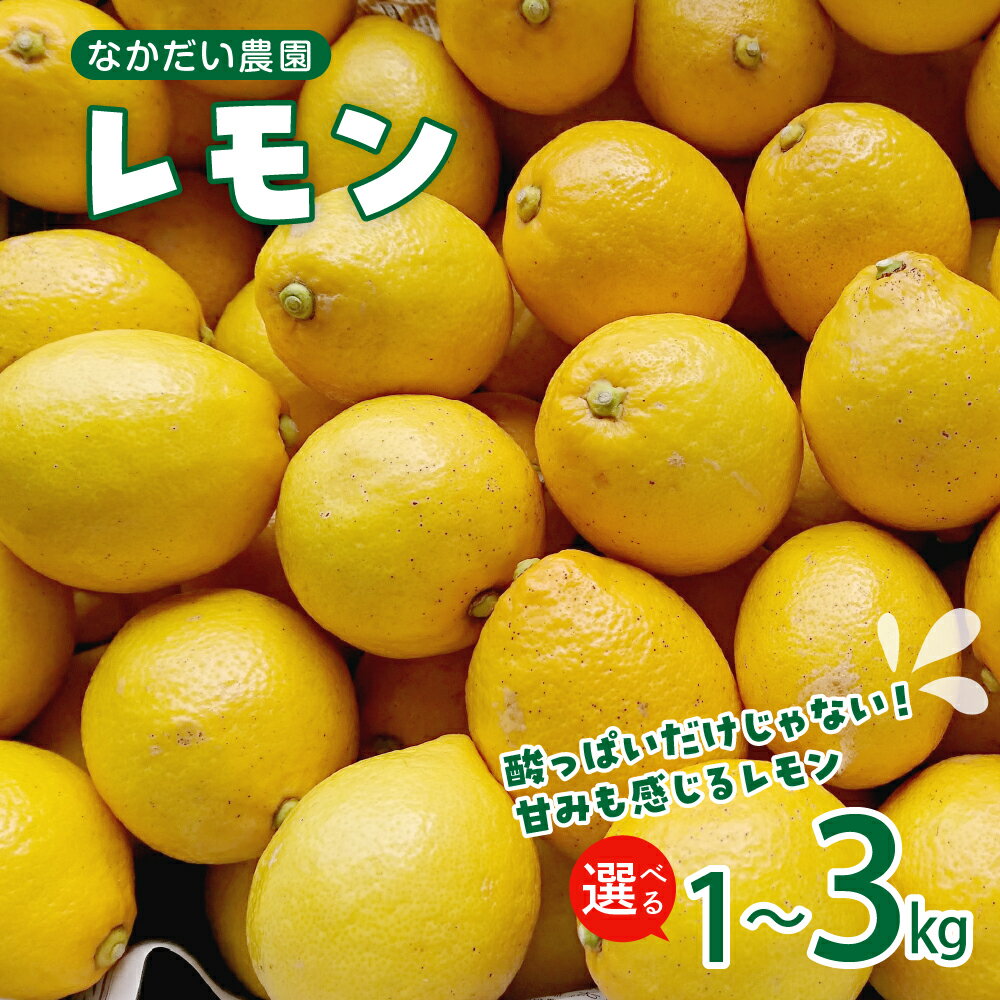 栽培期間中農薬不使用「レモン」約 1kg / 約 3kg / 内容量が選べる レモン れもん 檸檬 特別栽培 皮まで安心 瀬戸内 産地直送 お取り寄せグルメ 送料無料 特別栽培農産物 広島県 呉市