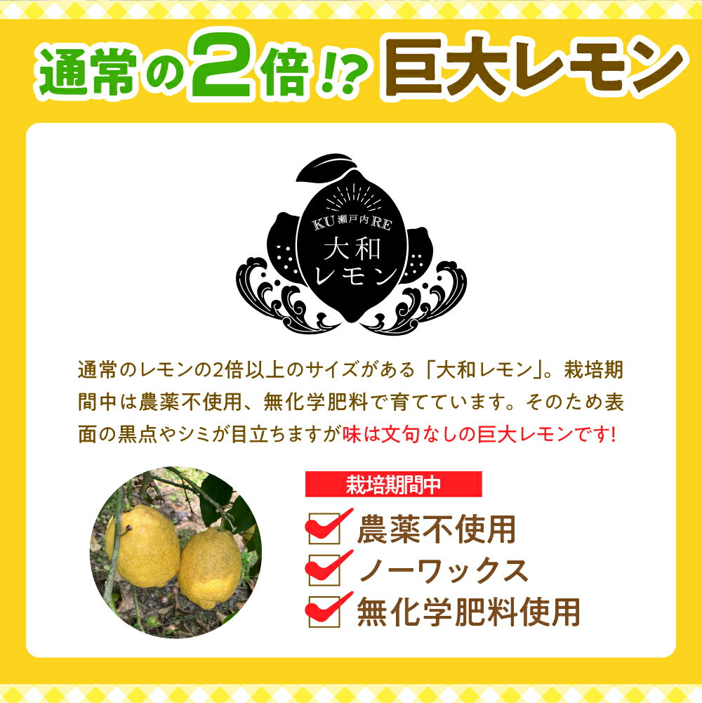【ふるさと納税】先行予約 大和レモン 選べる内容量 栽培期間中 農薬不使用 2.5kg / 4.5kg / 9kg 【2025年10月中旬～発送】新鮮 発送日に収穫 檸檬 レモン 果物 くだもの フルーツ 柑橘 産地直送送料無料 数量限定 大容量 広島県 呉市 サムネイル3