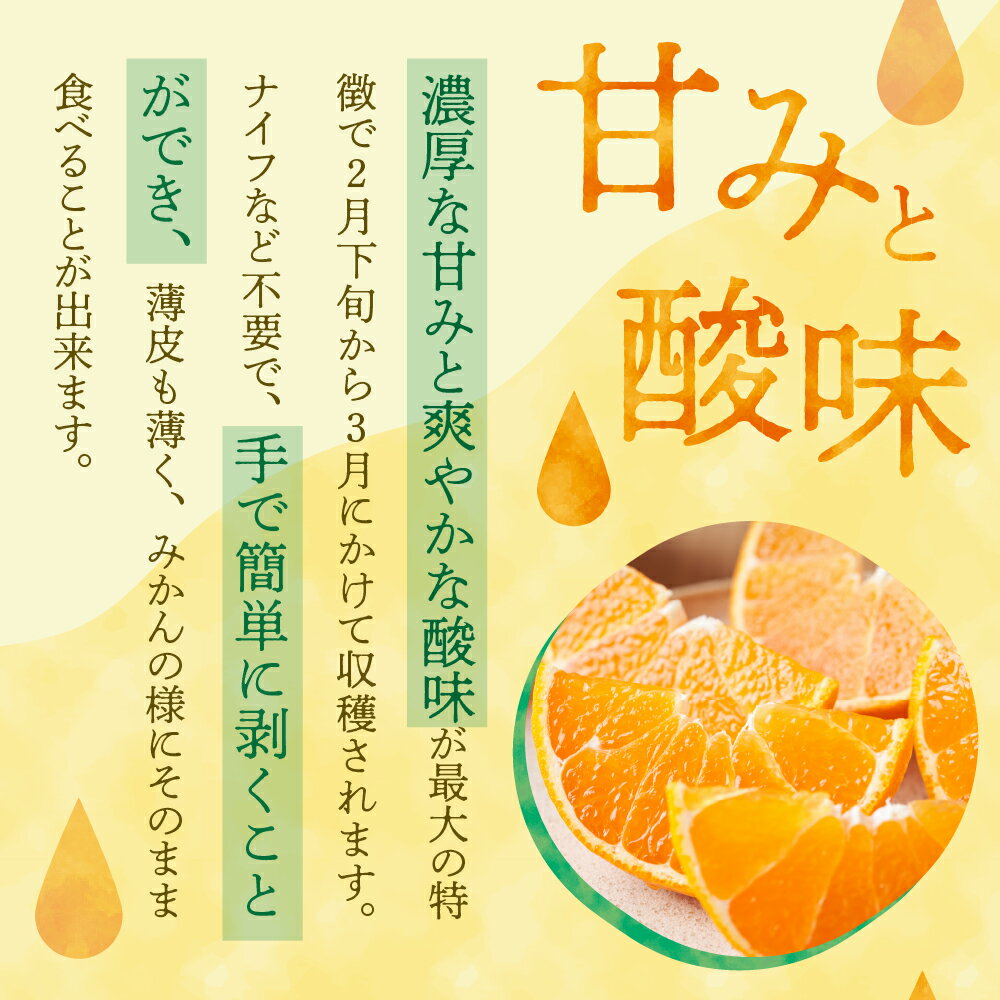 【ふるさと納税】川田柑橘園 広島県産 大長柑橘 「 不知火 ( しらぬい )」 選べる 4kg / 8kg みかん 蜜柑 フルーツ 果物 柑橘 ビタミンC クエン酸 濃厚 甘味 爽やか 酸味 糖度 果汁 たっぷり ジューシー 2月 3月 冬 旬 お取り寄せ 数量限定 送料無料 国産 国内産 広島県 呉市 サムネイル3