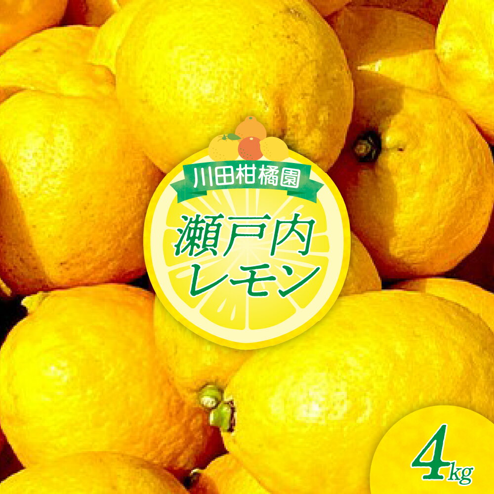 川田柑橘園 広島県産 「瀬戸内レモン」4kg / れもん 檸檬 lemon フルーツ 果物 柑橘 レモネード レモン水 お取り寄せ 香り 糖度 高い 香りよし 味よし 酸味 爽やか レモンサワー お酒と一緒に 国産 広島県 呉市