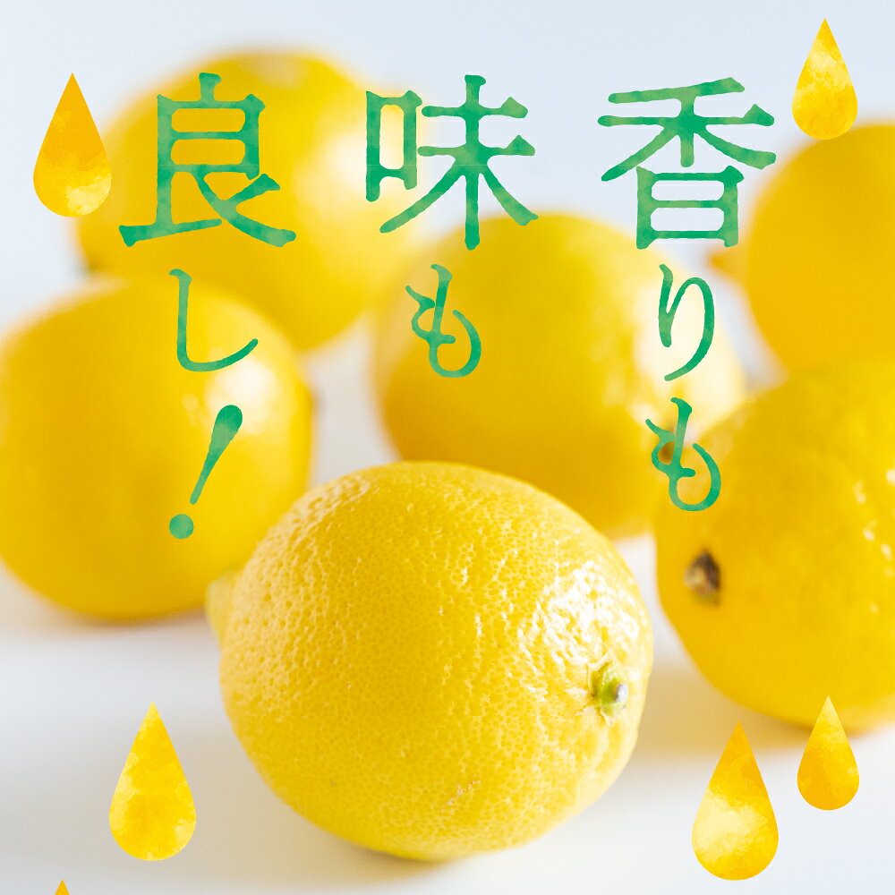 【ふるさと納税】川田柑橘園 広島県産 「瀬戸内レモン」4kg / れもん 檸檬 lemon フルーツ 果物 柑橘 レモネード レモン水 お取り寄せ 香り 糖度 高い 香りよし 味よし 酸味 爽やか レモンサワー お酒と一緒に 国産 広島県 呉市 サムネイル2