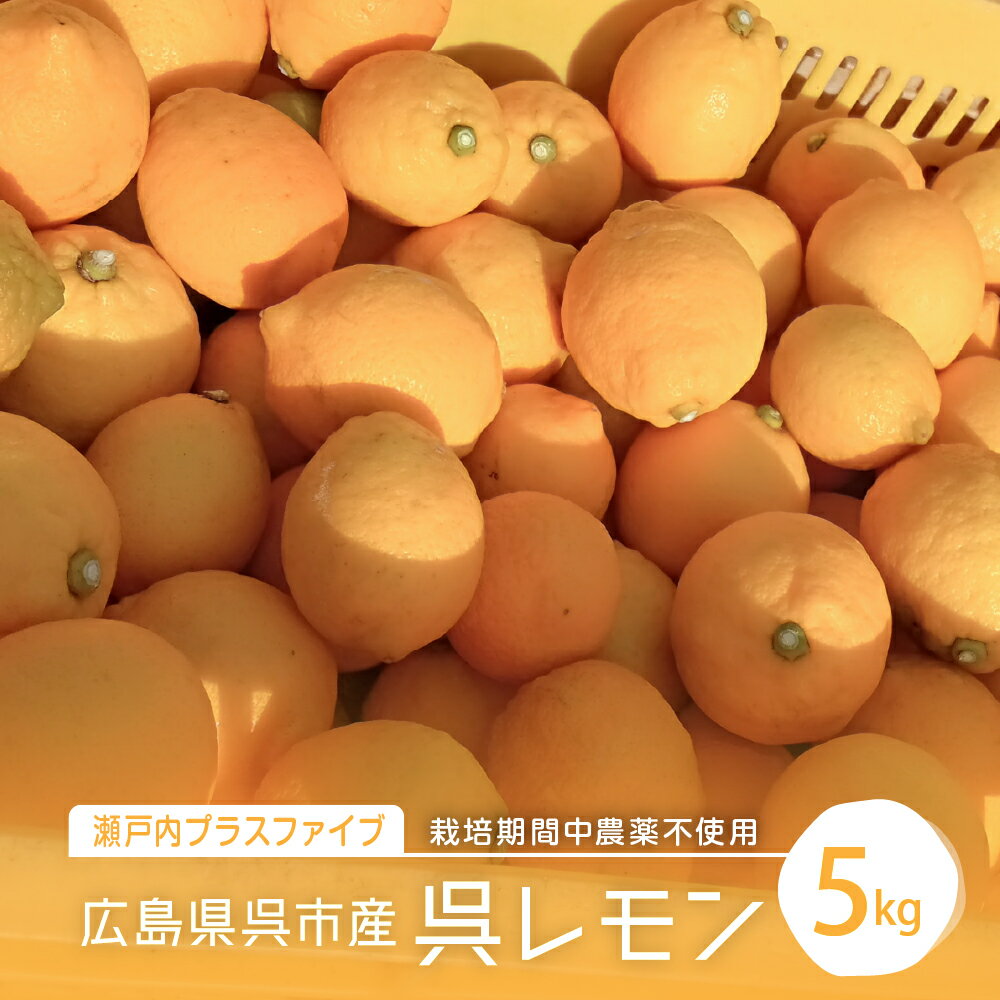 先行予約 広島県 呉市 大崎下島産 レモン 約 5kg【2025年10月初旬～発送】瀬戸内 檸檬 生産量日本一 広島県産 産地直送 送料無料 果物 フルーツ 柑橘 12月初旬までは グリーンレモン それ以降は イエローレモン お取り寄せグルメ 国産 先行受付