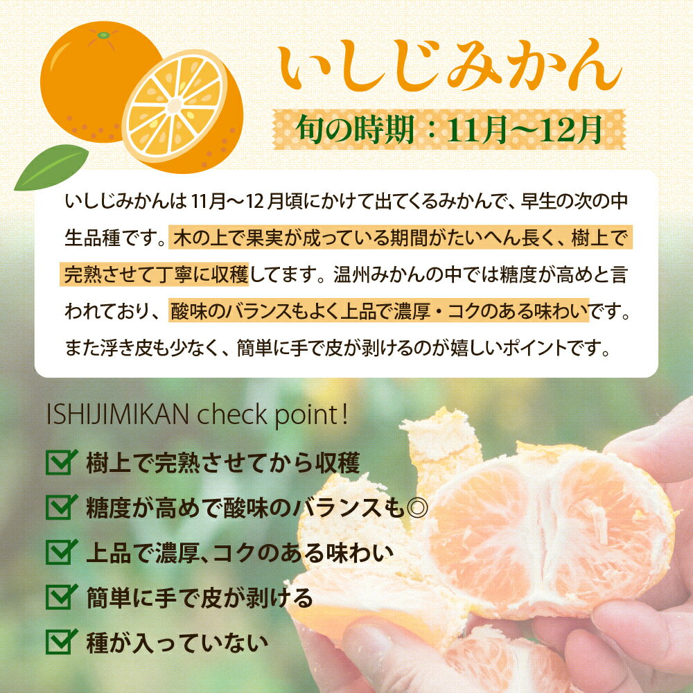 【ふるさと納税】先行予約 いしじみかん 約 2.5kg / 約 5kg ( 通常 or 小玉 ) 倉橋ミカン食べてクレ園【2025年12月初旬～発送】選べる 柑橘 蜜柑 ミカン 石地みかん 栽培期間中 除草剤 防腐剤 ワックス不使用 お取り寄せ 数量限定 産地直送 先行受付 広島県 呉市 倉橋島 サムネイル2