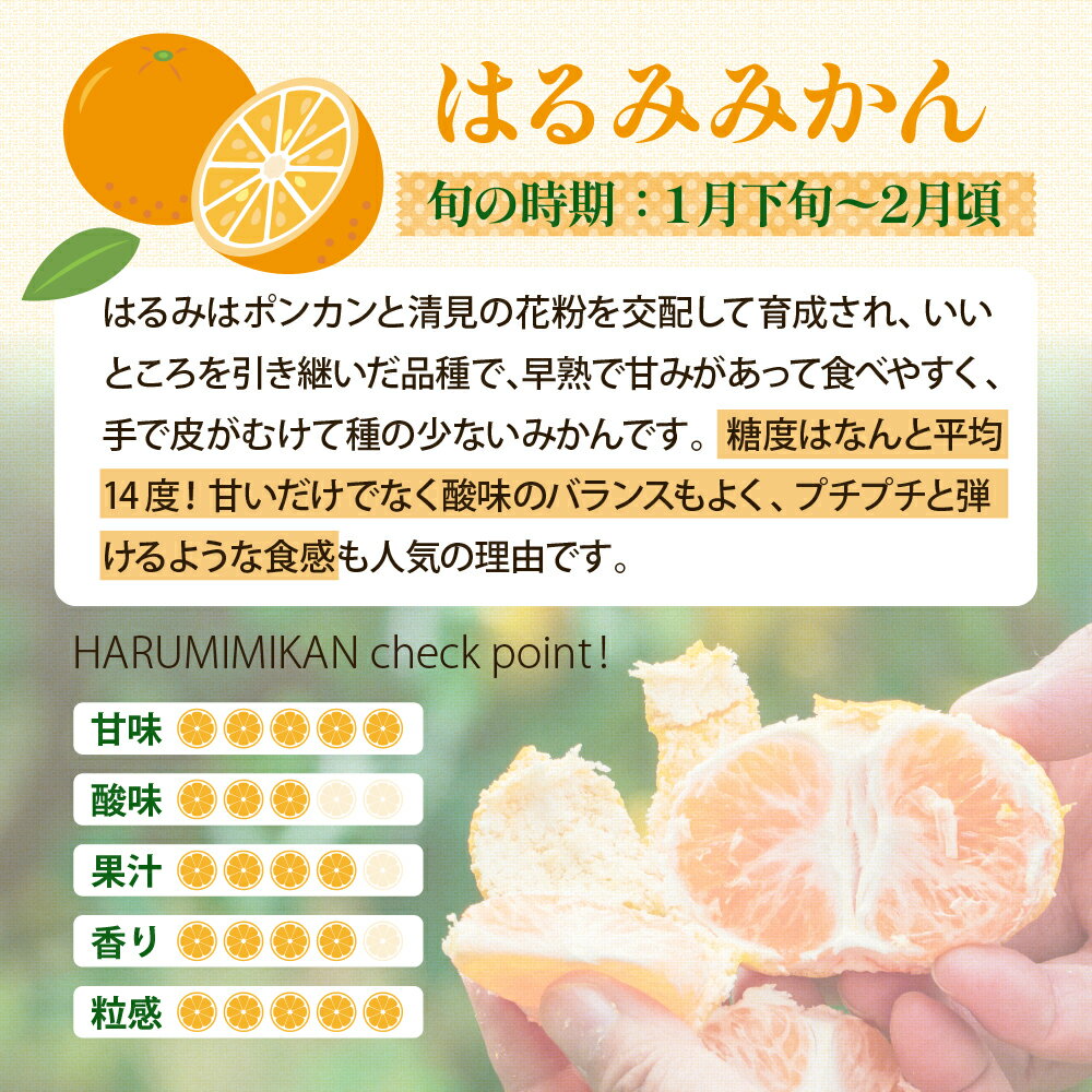 【ふるさと納税】先行予約 はるみ 選べる 約 2.5kg / 約 5kg 【2026年1月下旬～発送】 倉橋ミカン食べてクレ園 ミカン 広島 柑橘 蜜柑 完熟 手でむける 種が少ない みかん 果物 フルーツ 冬 旬 1月 2月 3月 お取り寄せ 産地直送 送料無料 先行受付 広島県 呉市 倉橋島 サムネイル2