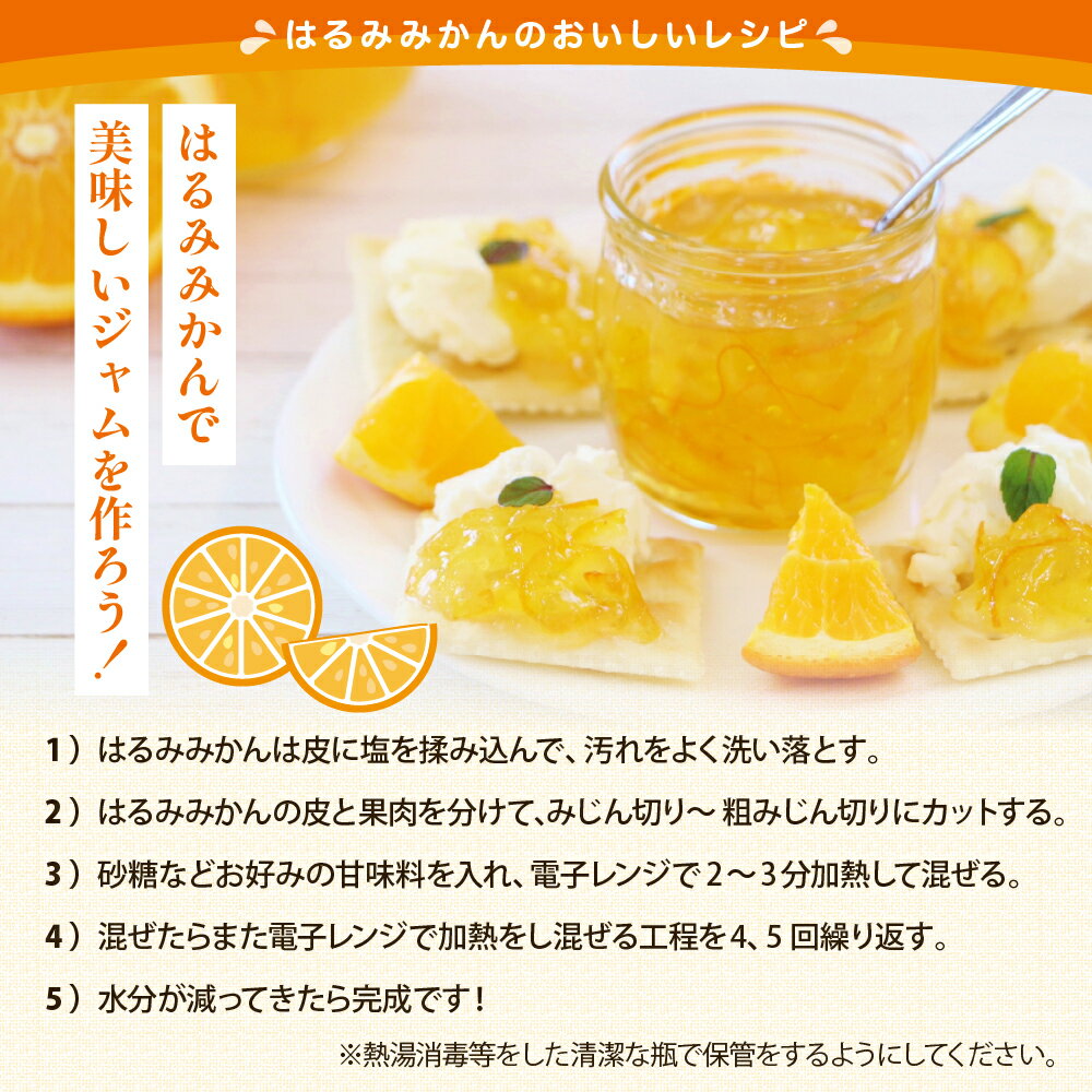 【ふるさと納税】先行予約 はるみ 選べる 約 2.5kg / 約 5kg 【2026年1月下旬～発送】 倉橋ミカン食べてクレ園 ミカン 広島 柑橘 蜜柑 完熟 手でむける 種が少ない みかん 果物 フルーツ 冬 旬 1月 2月 3月 お取り寄せ 産地直送 送料無料 先行受付 広島県 呉市 倉橋島 サムネイル3