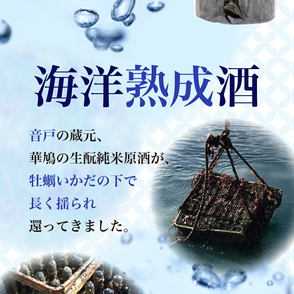 【ふるさと納税】華鳩 海洋熟成酒 瀬戸の龍宮 生&#37211;火入れ純米原酒清酒 お酒 ぬる燗 アルコール 常温保存 お取り寄せ ギフト 贈答 生酛 送料無料 広島県 呉市 サムネイル3