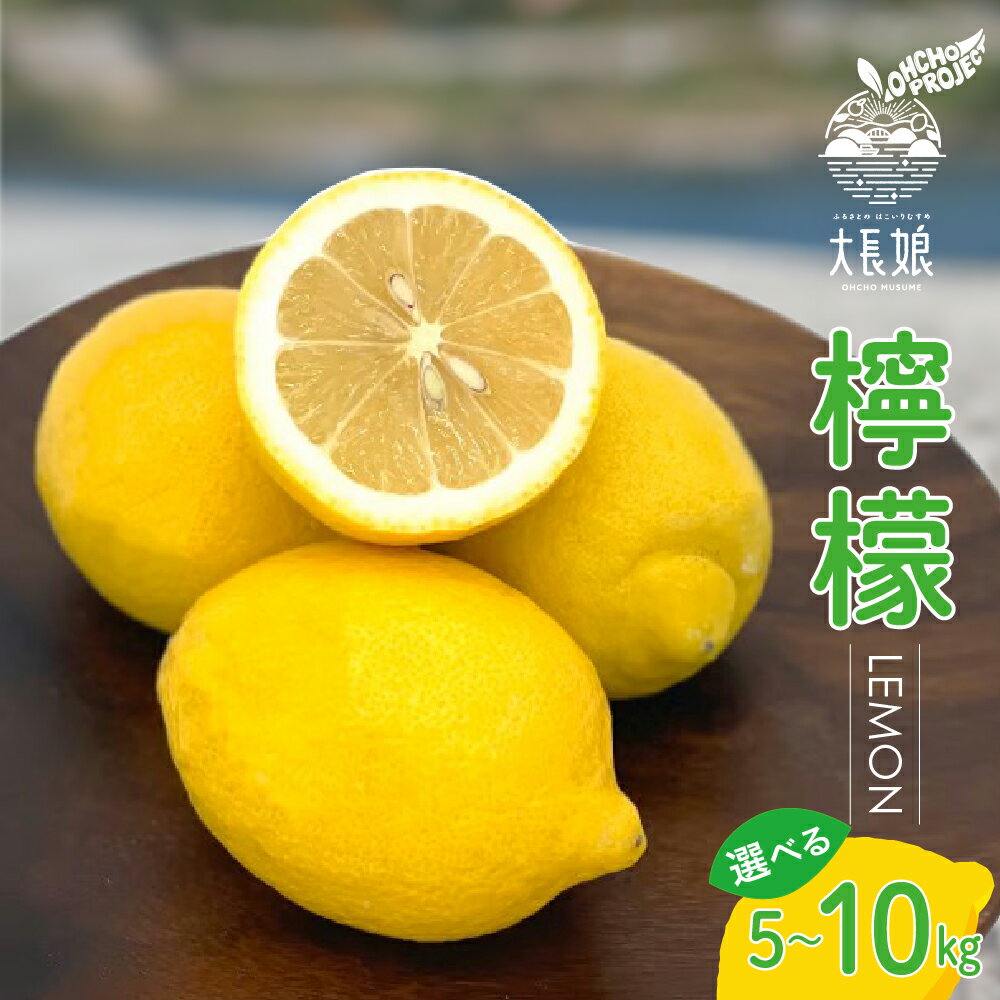 先行予約 大長プロジェクト 大長娘 檸檬 約 5kg / 約 10kg【2025年11月上旬～発送】内容量が選べる 瀬戸内 柑橘 レモン 生産量日本一 広島 産地直送 送料無料 果物 フルーツ グリーンレモン イエローレモン フレッシュ 先行受付 数量限定 大容量 広島県 呉市
