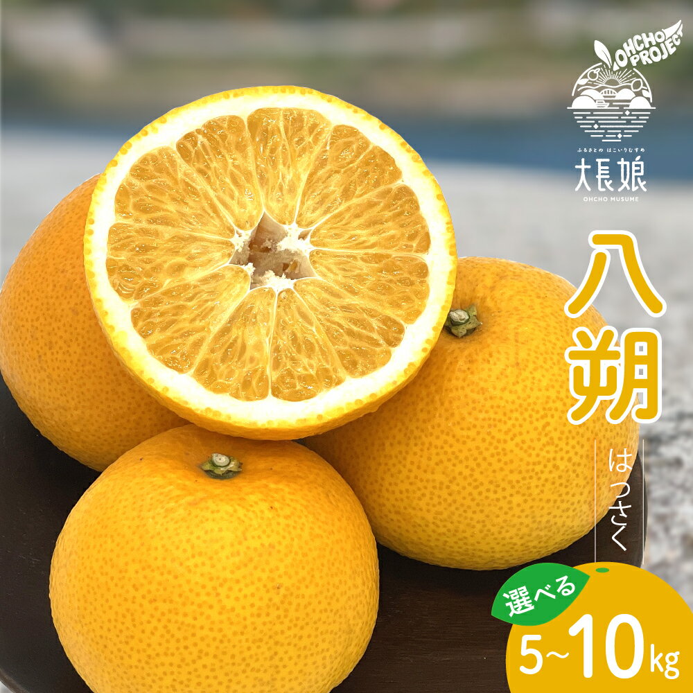 先行予約 大長プロジェクト 大長娘 八朔 約 5kg / 約 10kg【2026年2月初旬～発送】内容量が選べる はっさく フルーツ 果物 柑橘 みかん お取り寄せグルメ 国産 国内産 送料無料 産地直送 大容量 数量限定 広島県 呉市