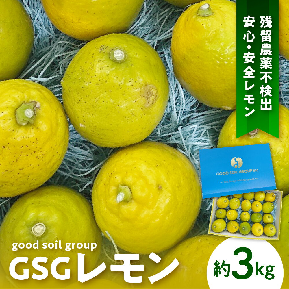 【限定100セット】先行予約 GSGレモン 〜残留農薬不検出〜 約 3kg 【2025年12月上旬～発送】檸檬 レモン 果物 柑橘 フルーツ 生産量日本一の広島 産地直送 送料無料 お取り寄せグルメ 数量限定 先行受付 広島県 呉市