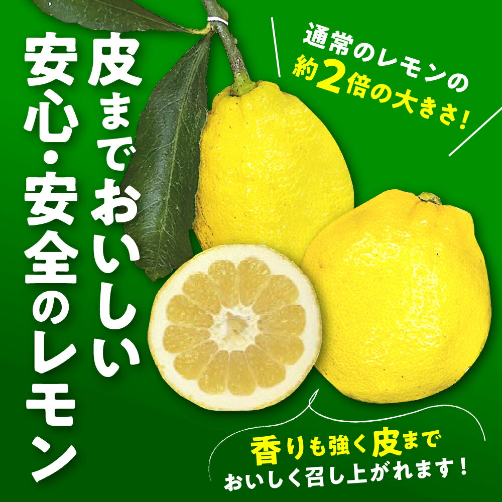 【ふるさと納税】【限定100セット】先行予約 GSGレモン 〜残留農薬不検出〜 約 3kg 【2025年12月上旬～発送】檸檬 レモン 果物 柑橘 フルーツ 生産量日本一の広島 産地直送 送料無料 お取り寄せグルメ 数量限定 先行受付 広島県 呉市 サムネイル2