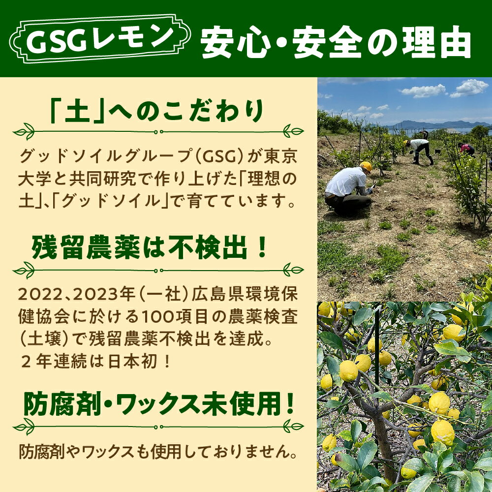 【ふるさと納税】【限定100セット】先行予約 GSGレモン 〜残留農薬不検出〜 約 3kg 【2025年12月上旬～発送】檸檬 レモン 果物 柑橘 フルーツ 生産量日本一の広島 産地直送 送料無料 お取り寄せグルメ 数量限定 先行受付 広島県 呉市 サムネイル3