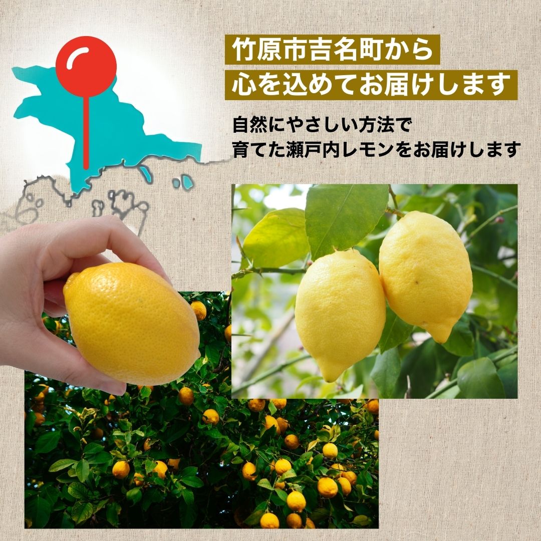 【ふるさと納税】【選べる種類・容量】 瀬戸内レモン イエローレモン グリーンレモン 1〜3kg 栽培期間農薬不使用 皮まで食べれる | レモン 檸檬 せとうちレモン 農薬不使用 化学肥料不使用 子どもに安心 レモンジャム レモンスイーツ レモン麹 サムネイル2