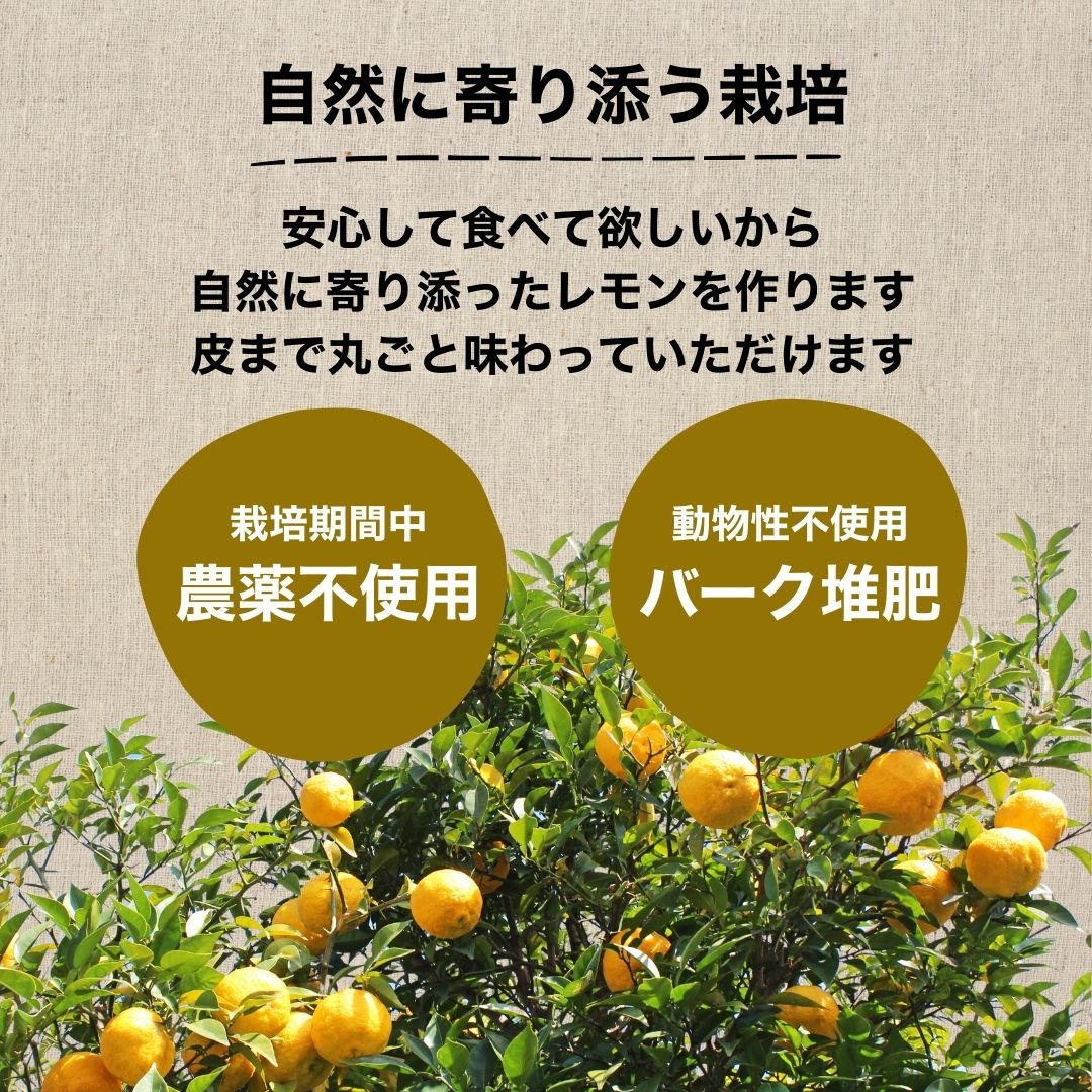 【ふるさと納税】【選べる種類・容量】 瀬戸内レモン イエローレモン グリーンレモン 1〜3kg 栽培期間農薬不使用 皮まで食べれる | レモン 檸檬 せとうちレモン 農薬不使用 化学肥料不使用 子どもに安心 レモンジャム レモンスイーツ レモン麹 サムネイル3