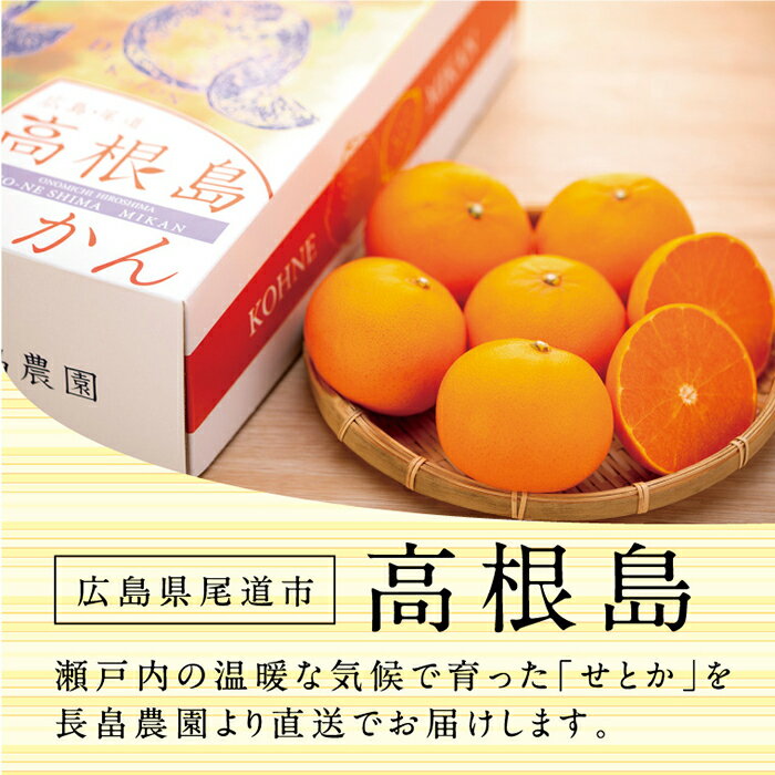 【ふるさと納税】濃厚・ジューシー！ハウス栽培せとか　約3kg　化粧箱入り　＜本年は生産量激減の為数量限定＞ | 広島県尾道市 広島県 尾道市 広島 尾道 みかん せとか フルーツ 果物 青果 柑橘 お取り寄せ サムネイル2