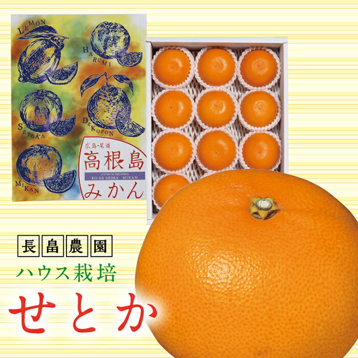 【ふるさと納税】濃厚・ジューシー！ハウス栽培せとか　約3kg　化粧箱入り　＜本年は生産量激減の為数量限定＞ | 広島県尾道市 広島県 尾道市 広島 尾道 みかん せとか フルーツ 果物 青果 柑橘 お取り寄せ サムネイル3