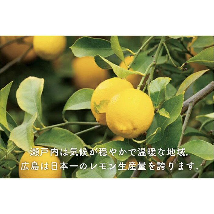 【ふるさと納税】ペースト レモンペースト セット 800g ( 200g × 4パック ) 広島県尾道市産 瀬戸田レモン | 食品 加工食品 人気 おすすめ 送料無料 サムネイル3