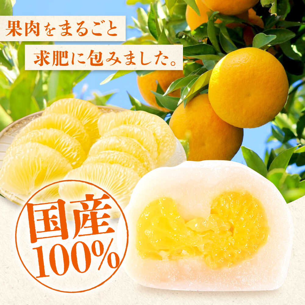 【ふるさと納税】お菓子 はっさく大福 12個入 お菓子 大福 八朔 柑橘 みかん はっさく オレンジ 餅 ギフト お取り寄せ スイーツ フルーツ大福 ご当地 おかし デザート 福山市/株式会社虎屋本舗[BADH012] サムネイル2