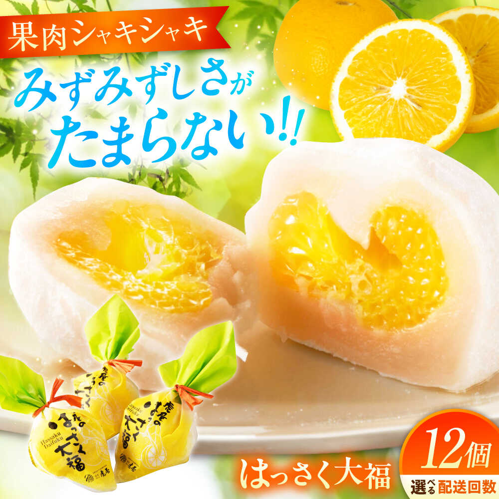 【選べるお届け回数】お菓子 はっさく大福 12個入 お菓子 大福 八朔 柑橘 みかん はっさく オレンジ 餅 ギフト お取り寄せ スイーツ フルーツ大福 ご当地 おかし デザート 和菓子 詰め合わせ 個包装 手土産 白あん 福山市/株式会社虎屋本舗[BADH012]