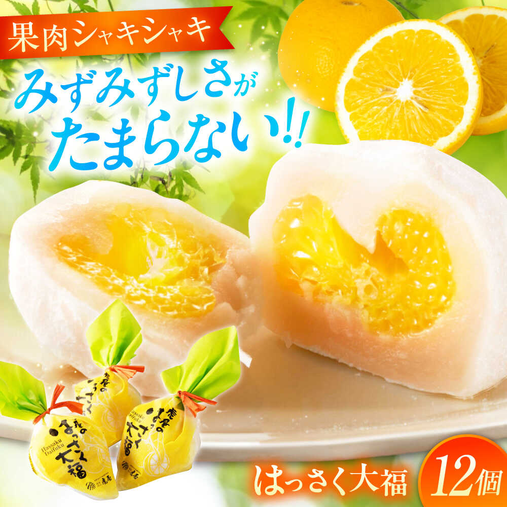 お菓子 はっさく大福 12個入 お菓子 大福 八朔 柑橘 みかん はっさく オレンジ 餅 ギフト お取り寄せ スイーツ フルーツ大福 ご当地 おかし デザート 福山市/株式会社虎屋本舗[BADH012]