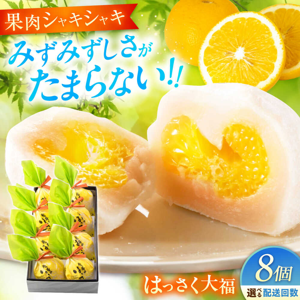 【選べるお届け回数】お菓子 はっさく大福 8個入　お菓子 大福 八朔 柑橘 みかん オレンジ はっさく 餅 ギフト お取り寄せ スイーツ フルーツ大福 ご当地 菓子 おかし デザート 食品 福山市/株式会社虎屋本舗[BADH021]