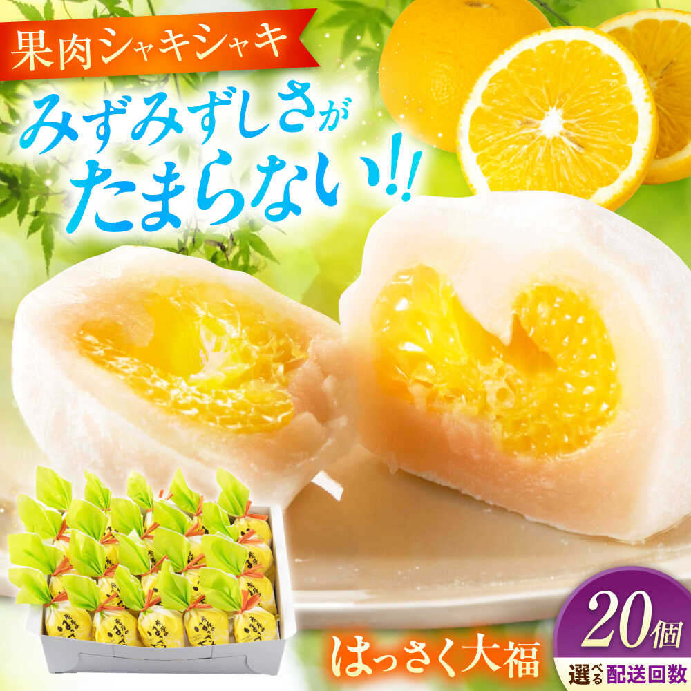 【選べるお届け回数】お菓子 はっさく大福 20個入 お菓子 大福 八朔 柑橘 みかん オレンジ はっさく 餅 ギフト お取り寄せ スイーツ フルーツ大福 ご当地 菓子 おかし デザート 和菓子 詰め合わせ 個包装 手土産 白あん 福山市/株式会社虎屋本舗[BADH029]