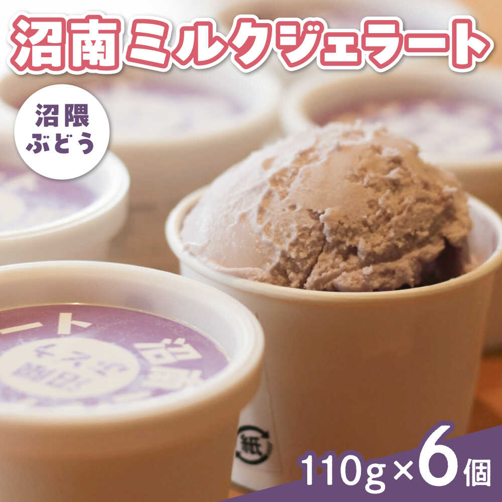 アイス 沼南ミルクジェラート 沼隈ぶどう6個 アイス アイスクリーム デザート スイーツ ご当地 おすすめ 人気 ひんやりスイーツ お取り寄せグルメ 詰め合わせ セット ギフト 贈り物 フルーツ 送料無料 シャーベット 広島県福山市/甚ごろう[BAEC005]