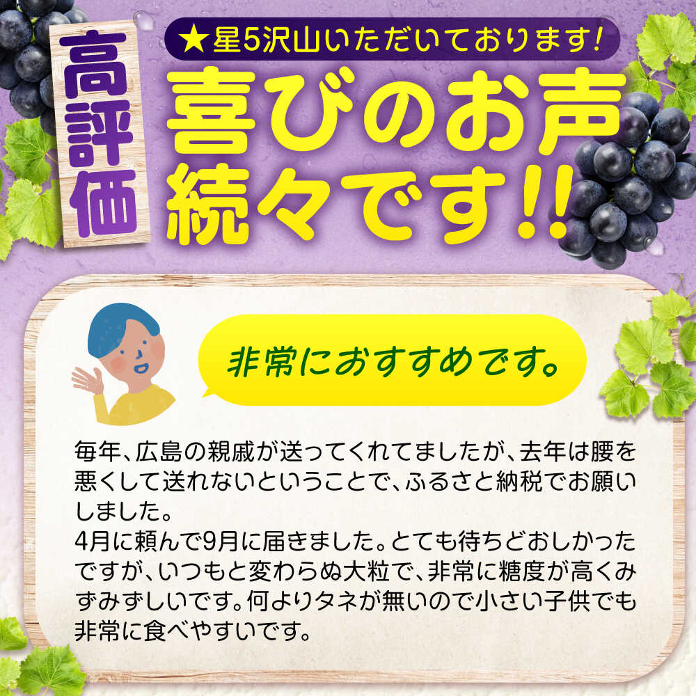 【ふるさと納税】【選べる容量】期間限定/8月下旬〜9月上旬頃発送 沼隈ぶどう「ピオーネ」 約2kg 約4kg 約6kg（種なし） 広島県福山市/福山市農業協同組合　沼隈グリーンセンター ぶどう ブドウ 葡萄 種なし 大粒 ピオーネ[BAEV002] - 画像2