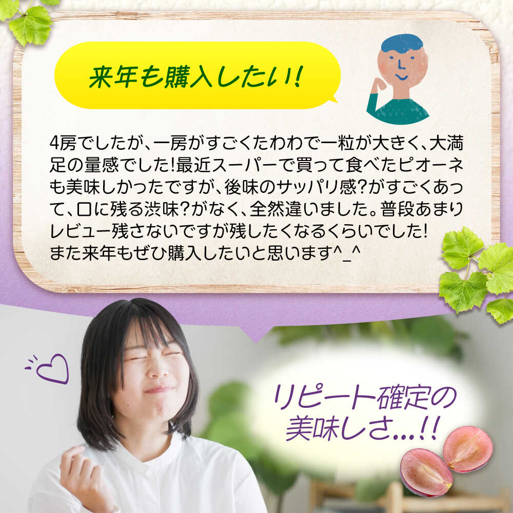 【ふるさと納税】【選べる容量】期間限定/8月下旬〜9月上旬頃発送 沼隈ぶどう「ピオーネ」 約2kg 約4kg 約6kg（種なし） 広島県福山市/福山市農業協同組合　沼隈グリーンセンター ぶどう ブドウ 葡萄 種なし 大粒 ピオーネ[BAEV002] - 画像3