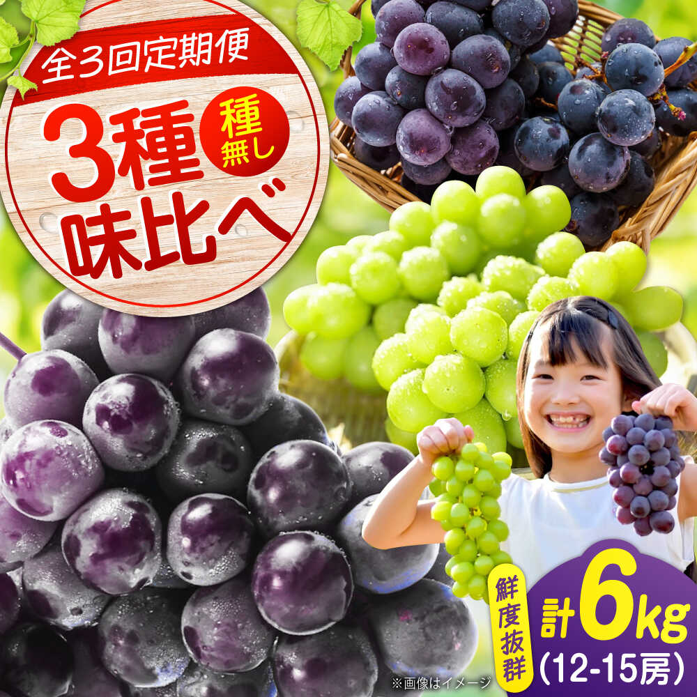 【全3回定期便】期間限定 贅沢3種の沼隈ぶどう定期便 各2kg (ピオーネ シャインマスカット ニューベリーA) 広島県福山市/福山市農業協同組合　沼隈グリーンセンター ぶどう ブドウ 葡萄 種なし 大粒[BAEV003]