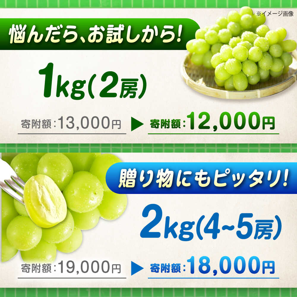 【ふるさと納税】数量限定/9月上旬〜9月下旬頃発送 シャインマスカット 1kg 2kg 4kg 6kg マスカット 福山市産 人気 おすすめ【BAEV004】広島県産 特選 おすすめ 人気 ぶどう ブドウ 果物 くだもの フルーツ シャインマスカットふるさと納税 送料無料 期間限定 旬 産地直送 - 画像3