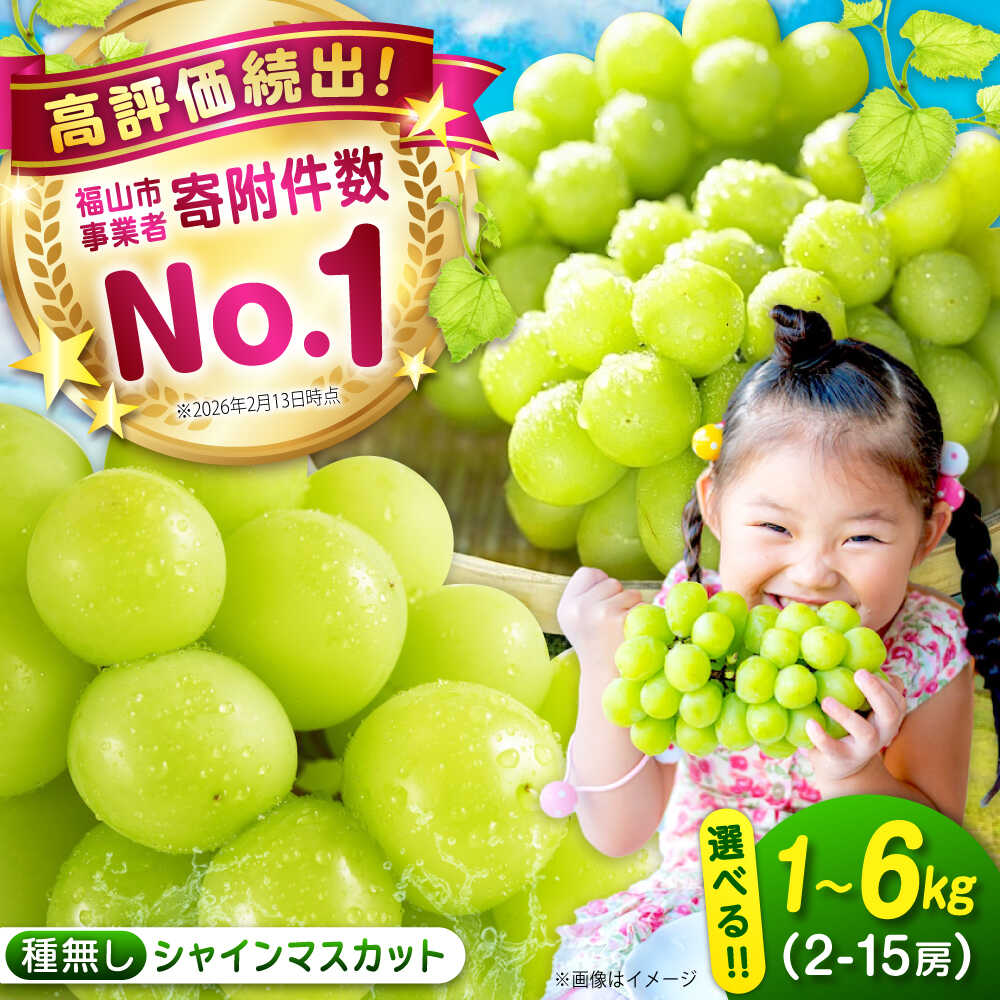 数量限定/9月上旬〜9月下旬頃発送 シャインマスカット 1kg 2kg 4kg 6kg マスカット 福山市産 人気 おすすめ【BAEV004】広島県産 特選 おすすめ 人気 ぶどう ブドウ 果物 くだもの フルーツ シャインマスカットふるさと納税 送料無料 期間限定 旬 産地直送
