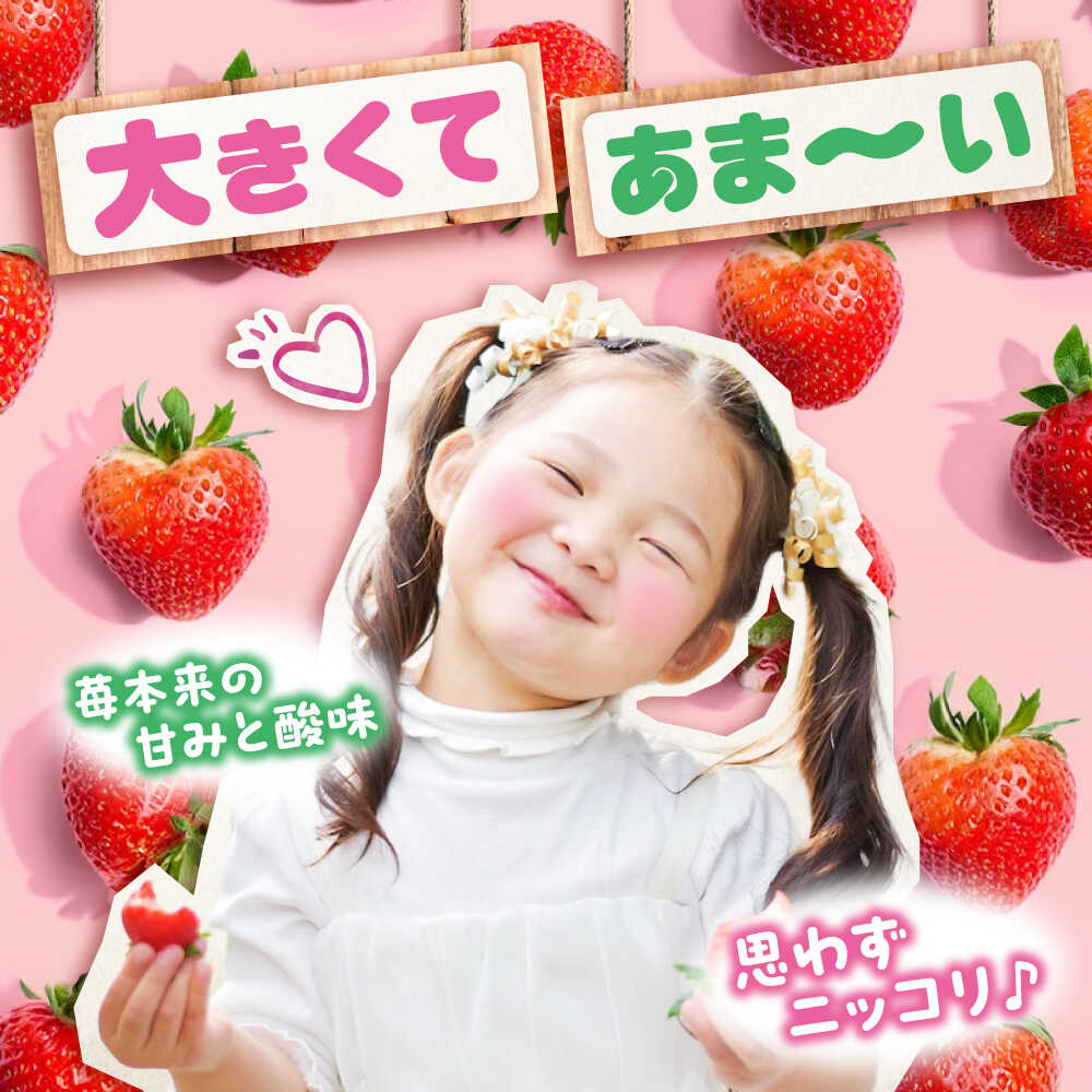 【ふるさと納税】【先行予約】紅ほっぺ 280g×4パック 2026年1月以降順次発送 広島県福山市/立花いちご農園 いちご 苺 イチゴ 紅ほっぺ フルーツ 産地直送[BAFN001] サムネイル3