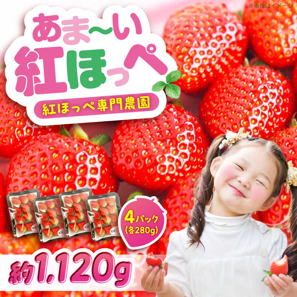 【先行予約】紅ほっぺ 280g×4パック 2026年1月以降順次発送 広島県福山市/立花いちご農園 いちご 苺 イチゴ 紅ほっぺ フルーツ 産地直送[BAFN001]