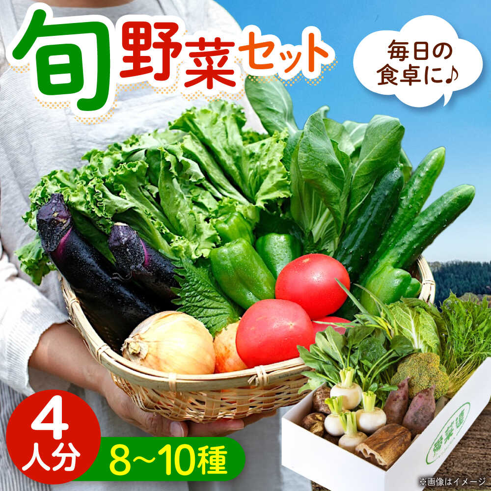 愛菜連のおまかせ野菜パック（4人用）野菜詰合せ 旬 旬の野菜 野菜セット 産地直送 ミネラル ビタミン 豊富 おすすめ 人気 送料無料 新鮮 とれたて 季節の野菜 詰め合わせ 定期便 宅配 安心 健康 ふるさと納税 広島県福山市/マルフク株式会社[BAFW001]