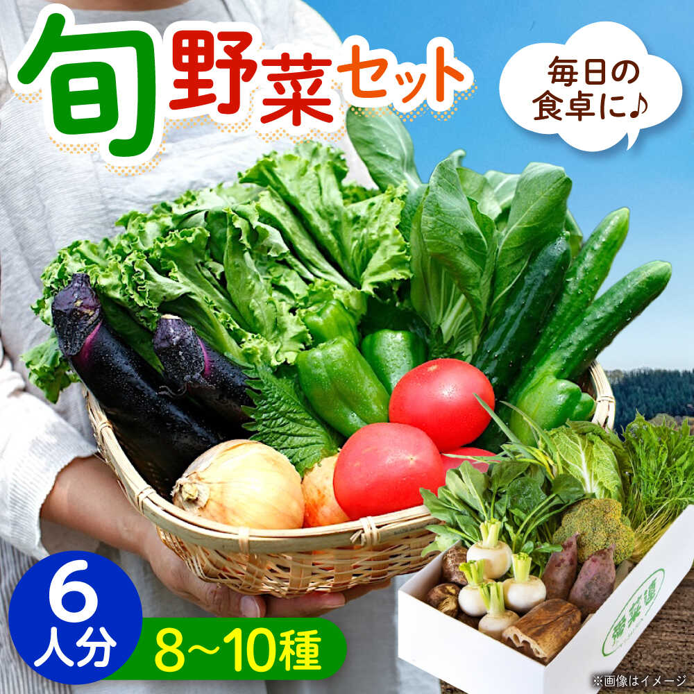 愛菜連のおまかせ野菜パック（6人用）野菜詰合せ 旬 旬の野菜 野菜セット 産地直送 ミネラル ビタミン 豊富 おすすめ 人気 送料無料 新鮮 とれたて 季節の野菜 詰め合わせ 定期便 宅配 安心 健康 ふるさと納税 広島県福山市/マルフク株式会社[BAFW002]