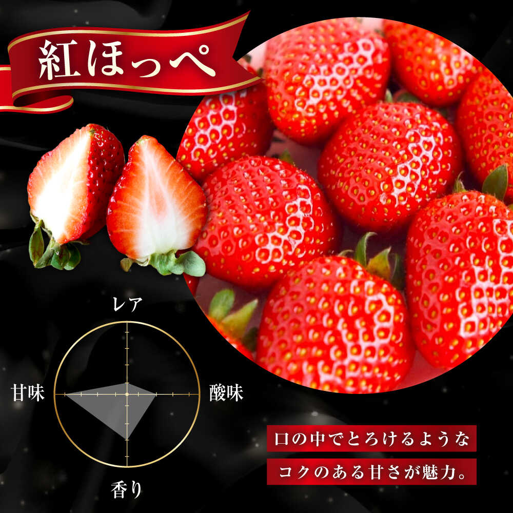 【ふるさと納税】【2026年1月以降順次発送】先行予約 産地直送厳選「紅ほっぺ・かおり野」2パックセット（計270g以上）いちご イチゴ 苺 紅ほっぺ かおり野 ブランド 送料無料 産地直送 新鮮 食べ比べ 詰め合わせ 10000円 1万円 広島県福山市/びんごファーム[BAFY001] サムネイル3
