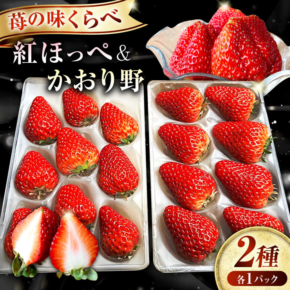 【2026年1月以降順次発送】先行予約 産地直送厳選「紅ほっぺ・かおり野」2パックセット（計270g以上）いちご イチゴ 苺 紅ほっぺ かおり野 ブランド 送料無料 産地直送 新鮮 食べ比べ 詰め合わせ 10000円 1万円 広島県福山市/びんごファーム[BAFY001]