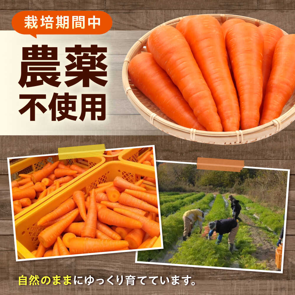 【ふるさと納税】【選べる容量】人参 にんじん 野菜 やさい 旬の野菜 旬 季節 新鮮 採れたて 広島県福山市/しもみん農場[BAGT001] - 画像2