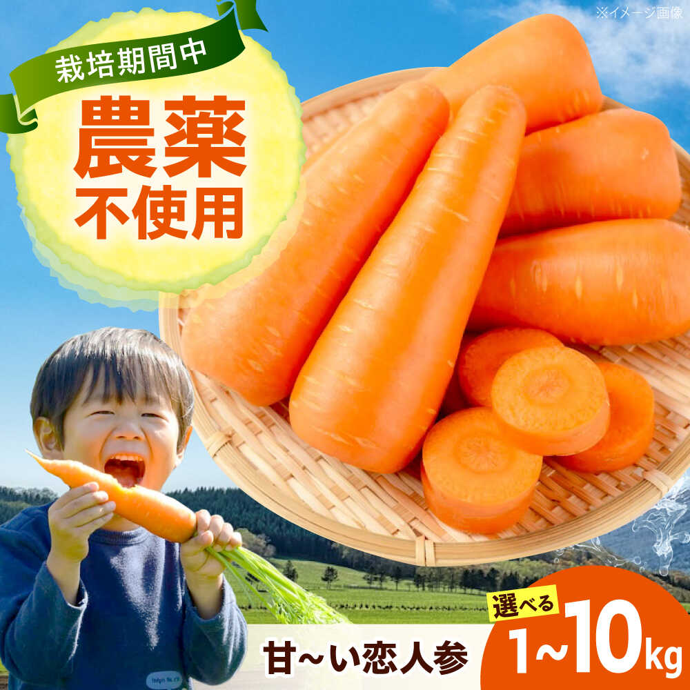 【選べる容量】人参 にんじん 野菜 やさい 旬の野菜 旬 季節 新鮮 採れたて 広島県福山市/しもみん農場[BAGT001]
