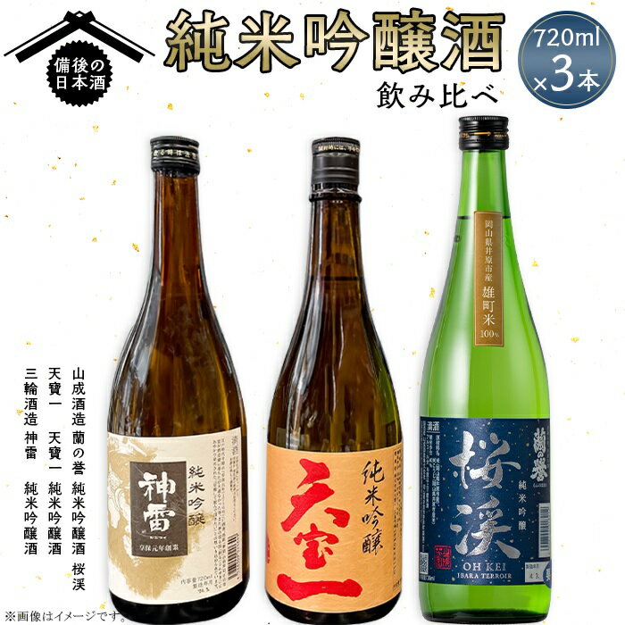 【びんご圏域連携】備後の日本酒『純米吟醸酒』飲み比べセット［No.1038］／ お酒 アルコール 神雷 天寶一 蘭の誉 贈り物 セット 送料無料 広島県