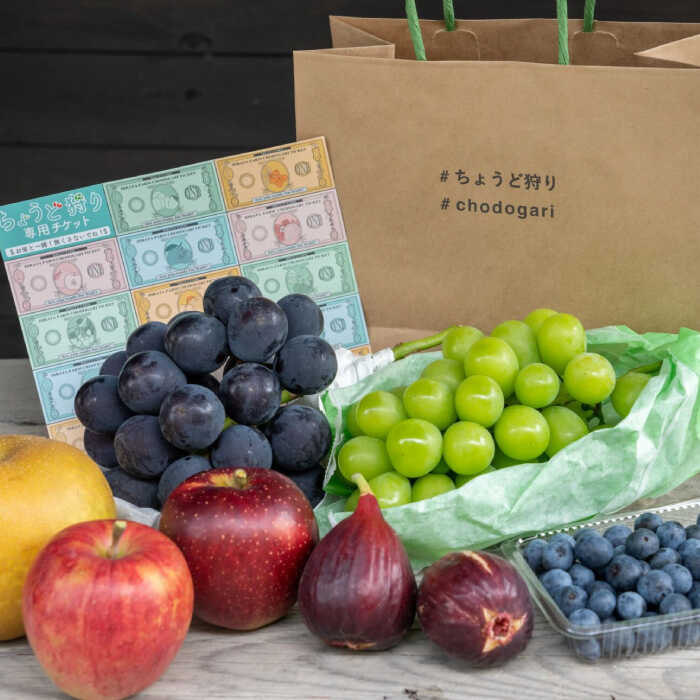 【ふるさと納税】 体験チケット 季節の果物狩り（2名様分） フルーツ狩り 果物 フルーツ 親子 子連れ 子供 子ども ファミリー 食べ比べ ペアチケット 家族旅行 お出かけ レジャー デート 思い出作り 体験型 人気 観光 15000円 15,000円 三次市/平田観光農園[APAA001] - 画像2