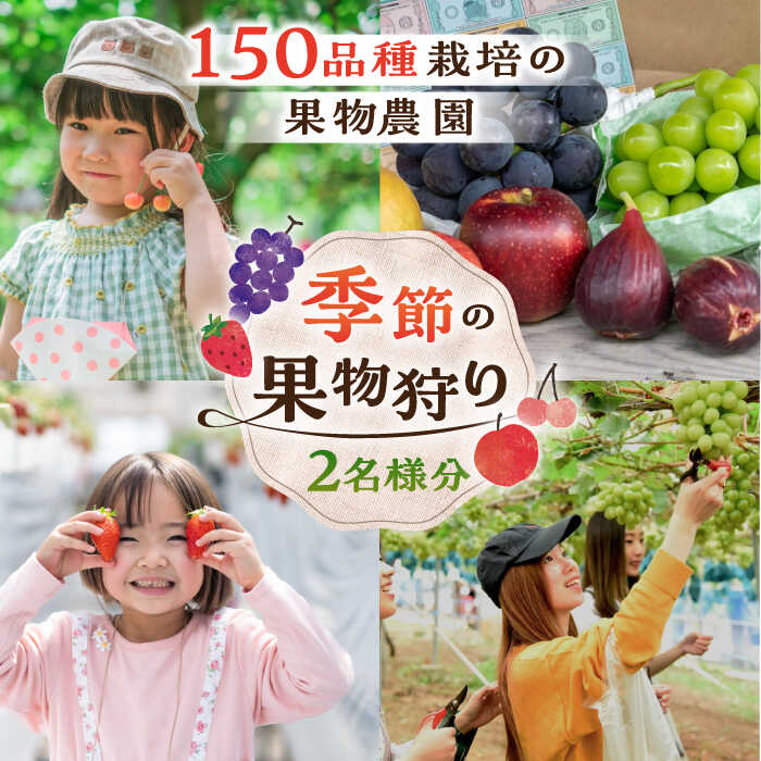 体験チケット 季節の果物狩り（2名様分） フルーツ狩り 果物 フルーツ 親子 子連れ 子供 子ども ファミリー 食べ比べ ペアチケット 家族旅行 お出かけ レジャー デート 思い出作り 体験型 人気 観光 15000円 15,000円 三次市/平田観光農園[APAA001]