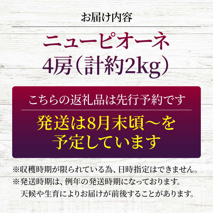 【ふるさと納税】【2026年先行予約】 ニューピオーネ 4房（約2kg） ＜8月下旬頃から順次発送＞ 三次の葡萄 種なし ぶどう ピオーネ ギフト フルーツ 果物 ブドウ 露地栽培 贈答用 大粒 甘い ジューシー 皮ごと 産地直送 おすすめ 人気 三次市 / 黒瀬ぶどう園 [APAB001] - 画像3