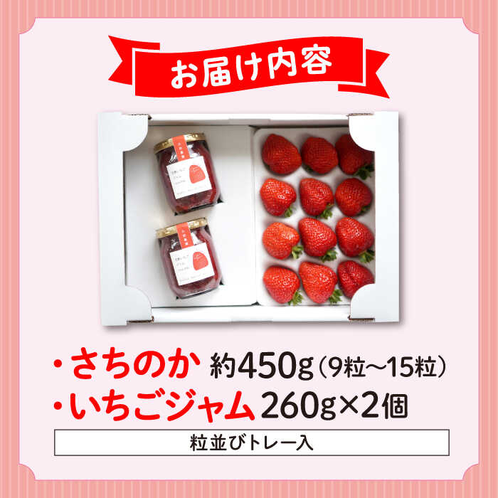 【ふるさと納税】【数量限定70個】【先行予約】【1月上旬から順次発送】 いちご 大前農園の完熟いちご＆完熟いちごジャムセット いちご さちのか イチゴ 苺 ジャム いちごジャム フルーツジャム イチゴジャム ベリー フルーツ 広島 ふるさと納税 三次市/大前農園[APAS002] サムネイル2