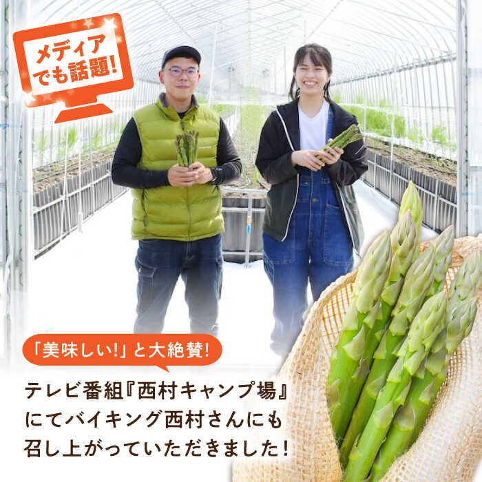 【ふるさと納税】【先行予約】 アスパラガス 朝採れ アスパラガス（約800g）とれたて 採れたて 朝採れ アスパラ 旬 春野菜 夏野菜 野菜 人気 おすすめ 産地直送 国産 送料無料 人気 おすすめ ギフト 贈り物 プレゼント 広島 三次 ふるさと納税 三次市/福分アスパラ[APAU001] - 画像2