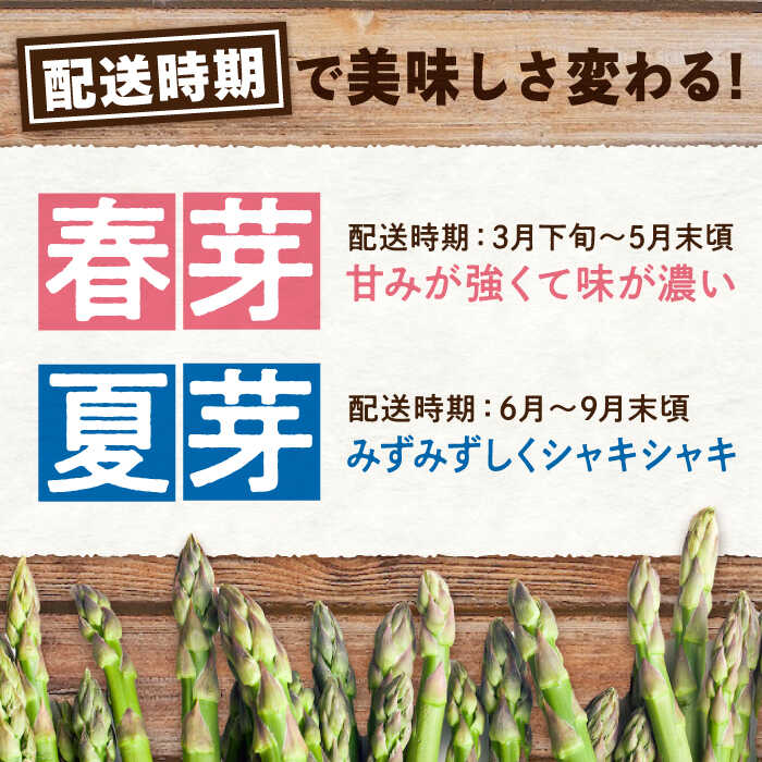 【ふるさと納税】【先行予約】 アスパラガス 朝採れ アスパラガス（約800g）とれたて 採れたて 朝採れ アスパラ 旬 春野菜 夏野菜 野菜 人気 おすすめ 産地直送 国産 送料無料 人気 おすすめ ギフト 贈り物 プレゼント 広島 三次 ふるさと納税 三次市/福分アスパラ[APAU001] - 画像3